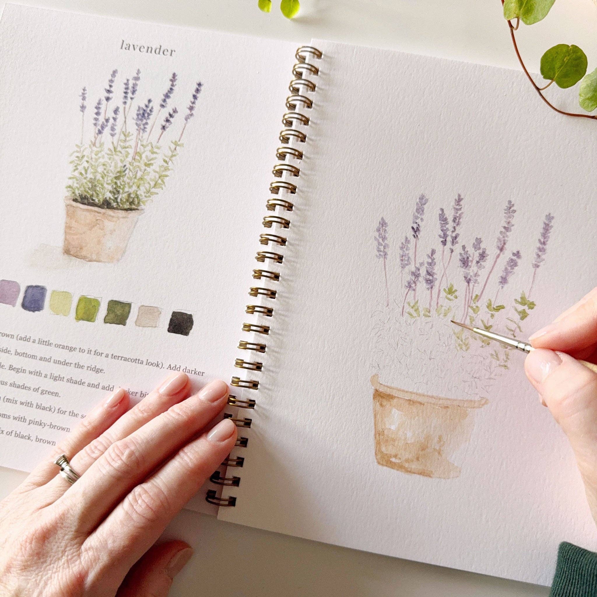 Garden Watercolor Book