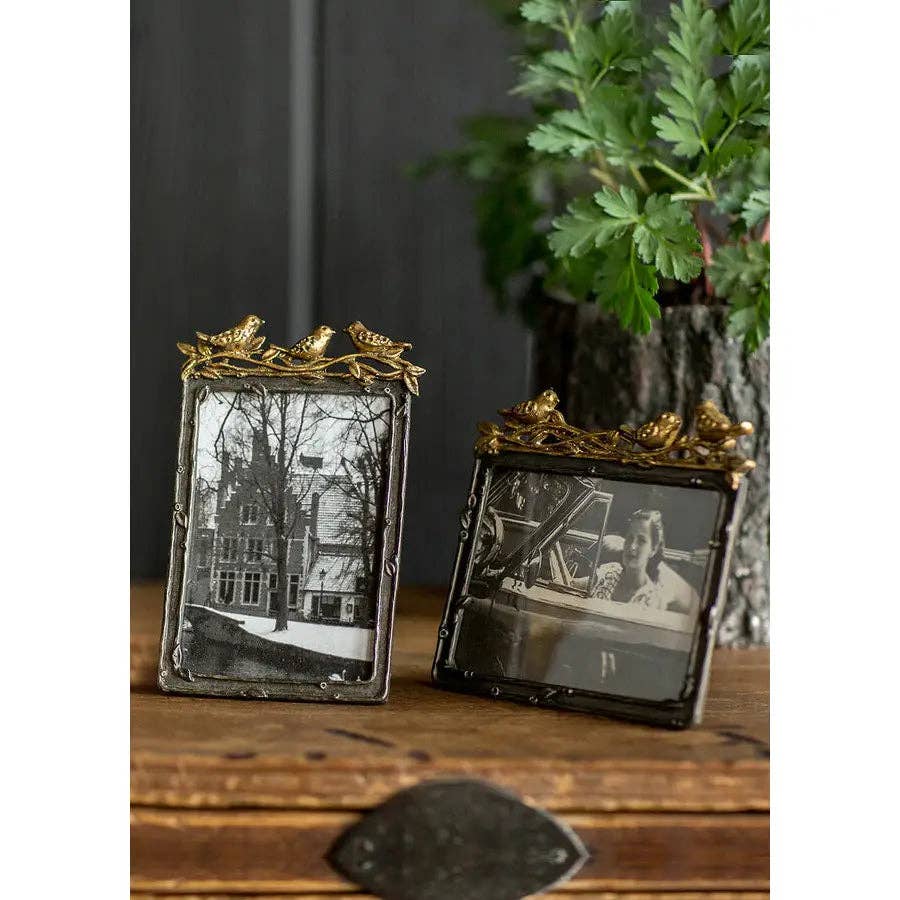 Gold Bird Frame