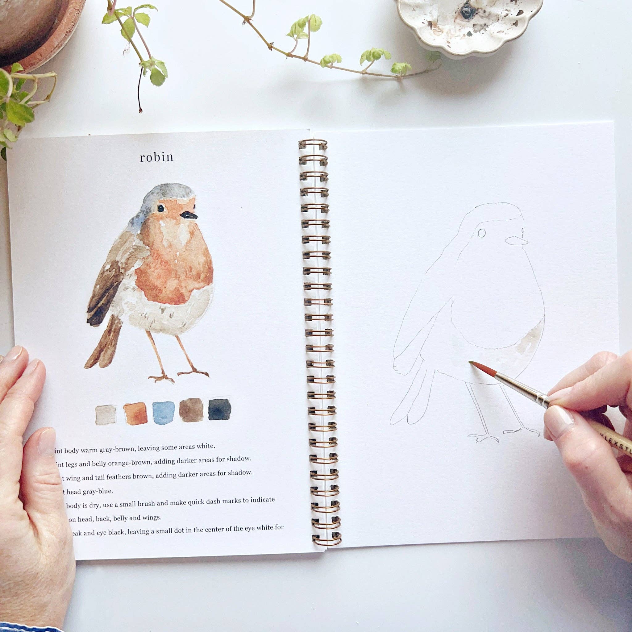 Bird Watercolor Book
