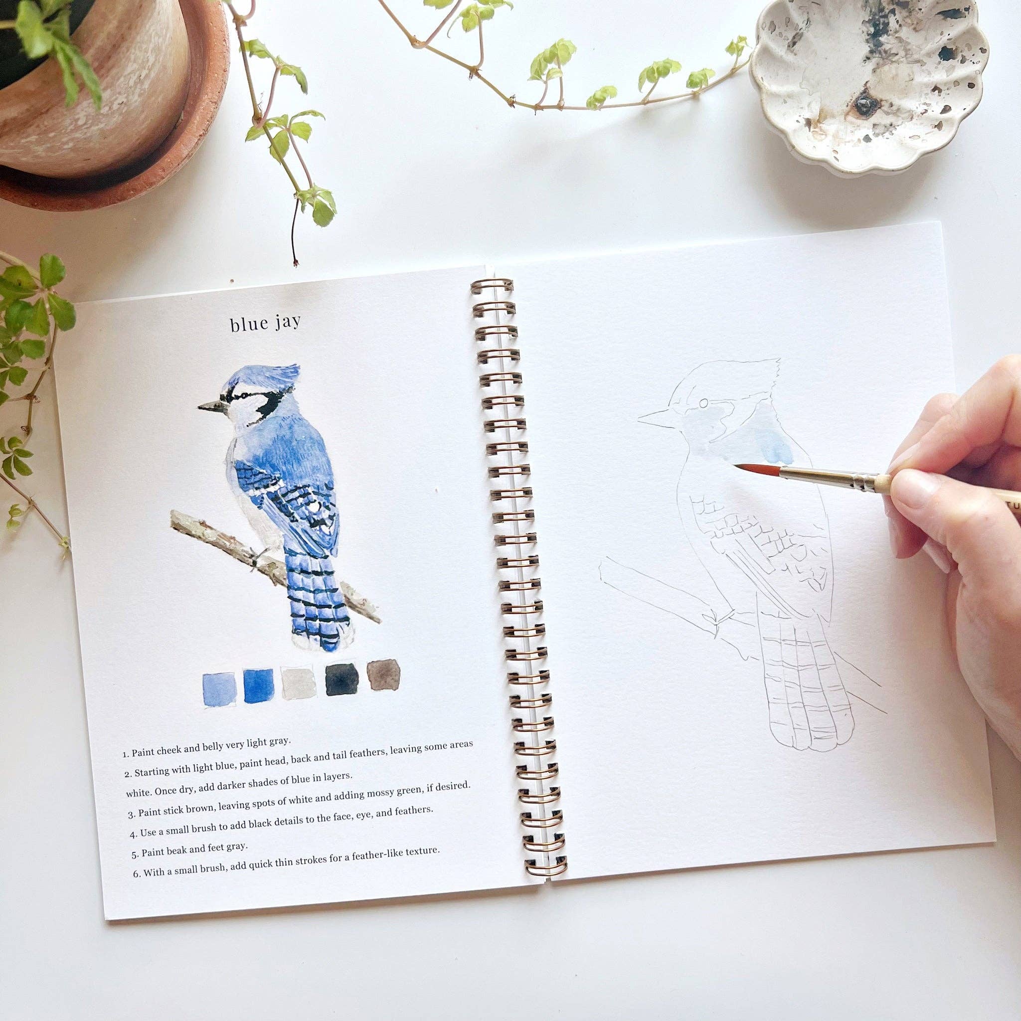 Bird Watercolor Book