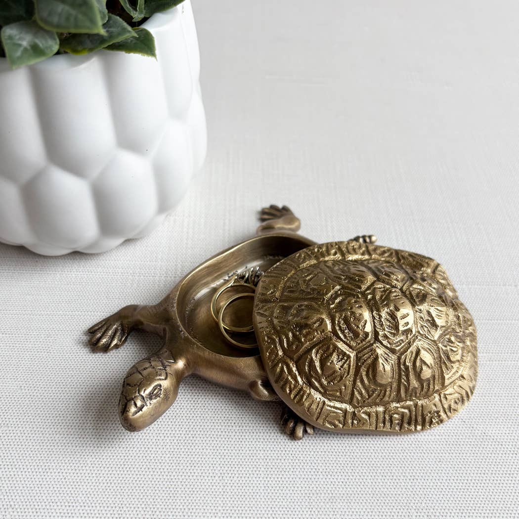 Solid Brass Turtle Box
