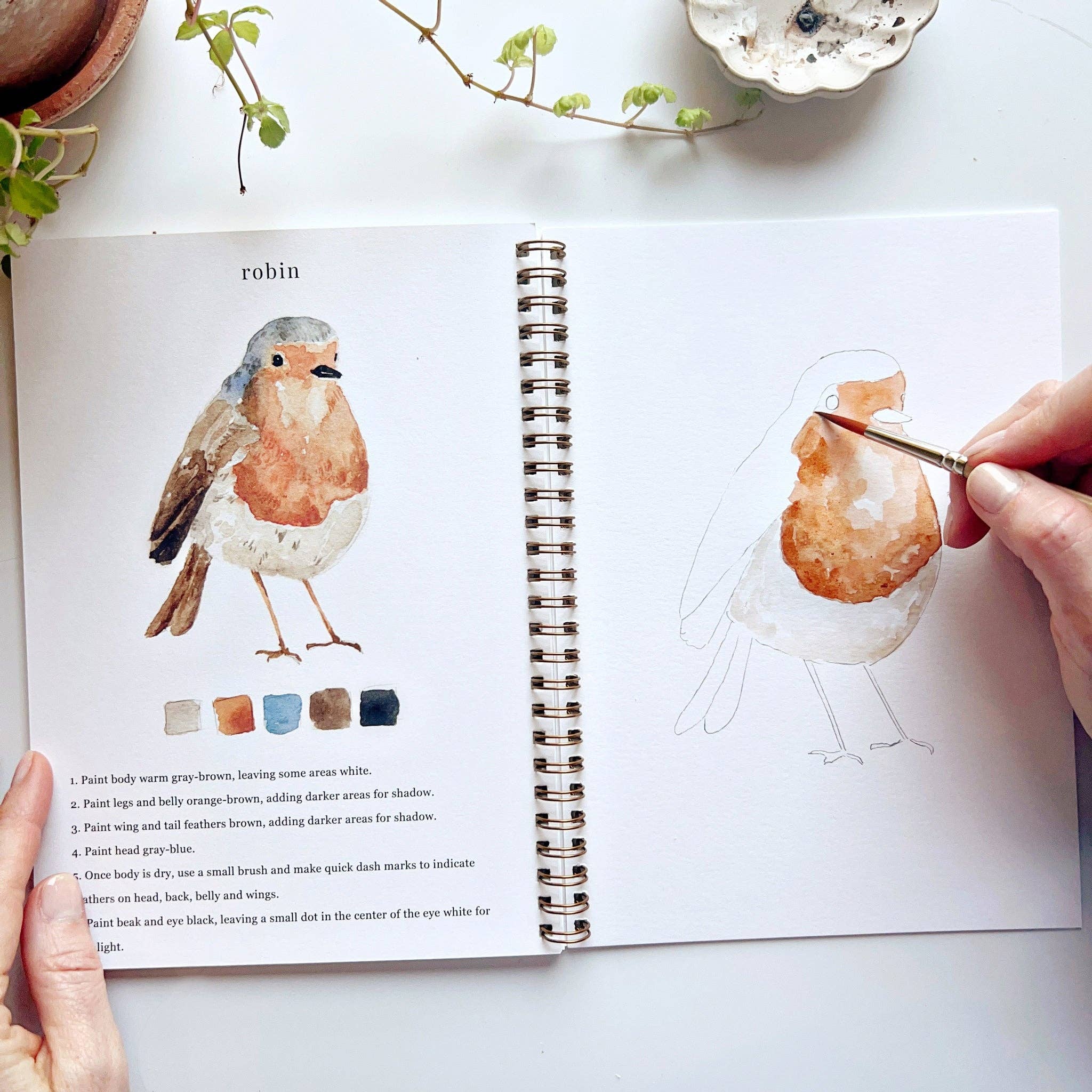 Bird Watercolor Book