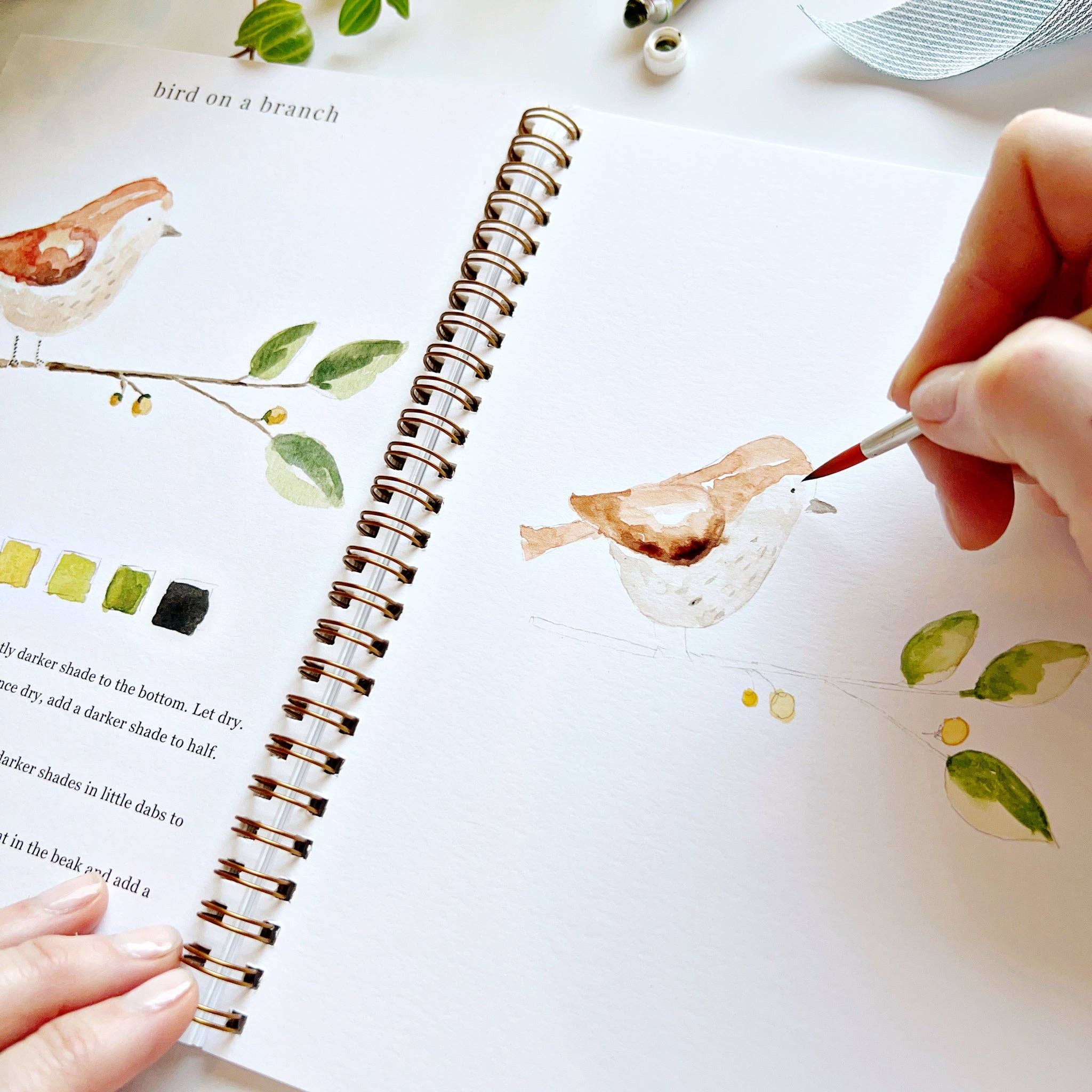 Animals Watercolor Book