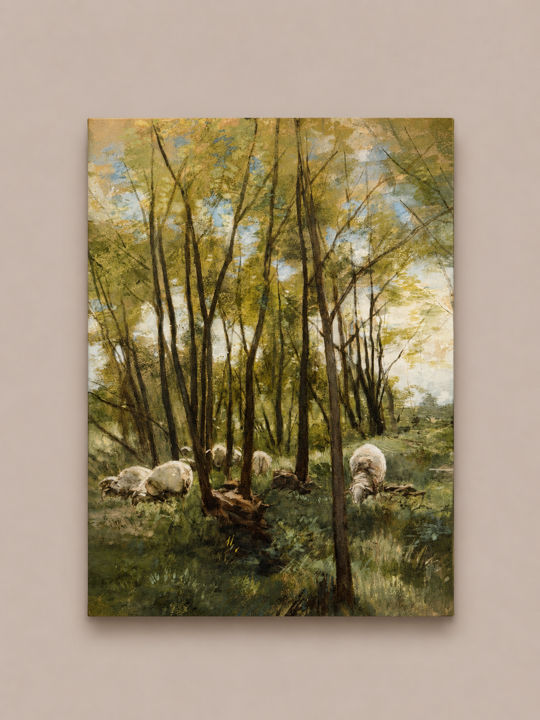 Sheep Roaming 12X16
