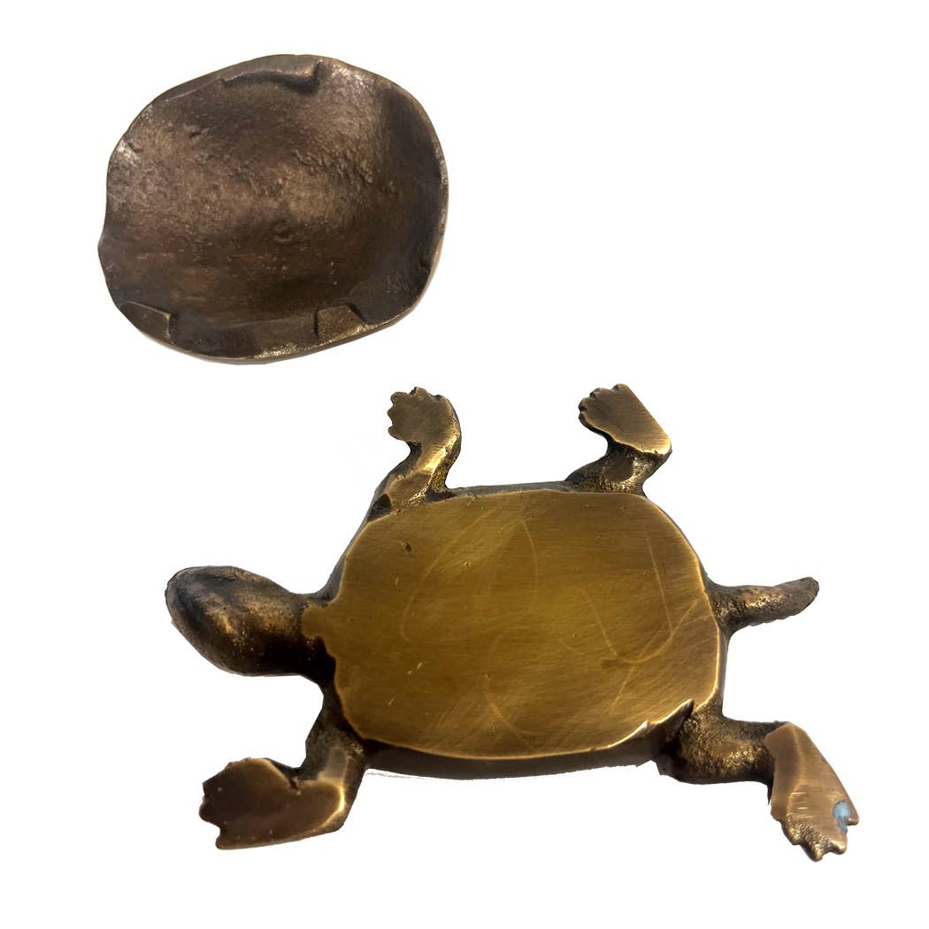 Solid Brass Turtle Box