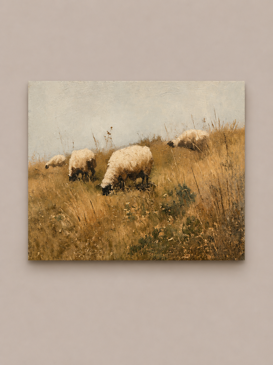 Sheep Field 11X14