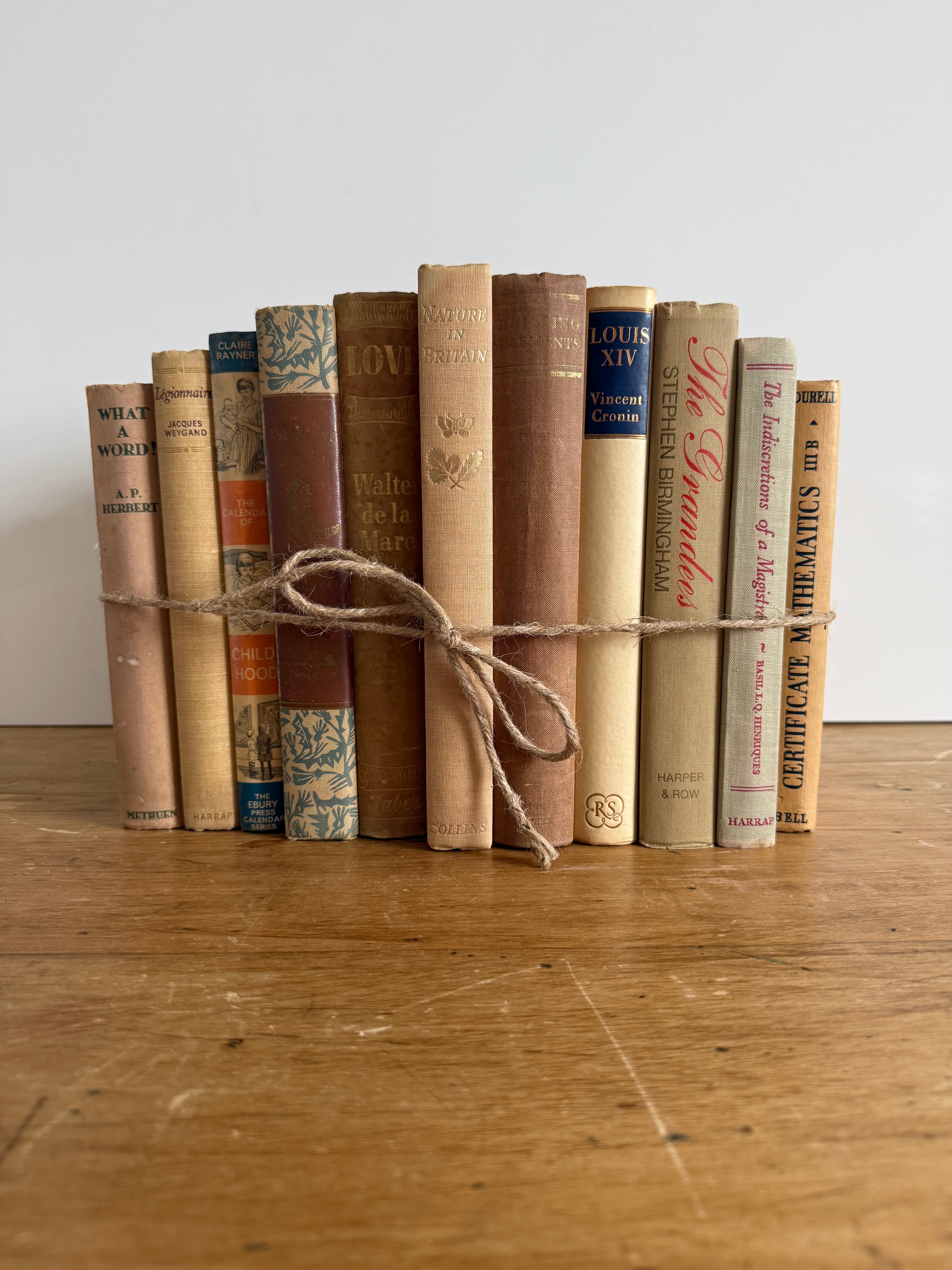 Vintage Book Bundle - Natural