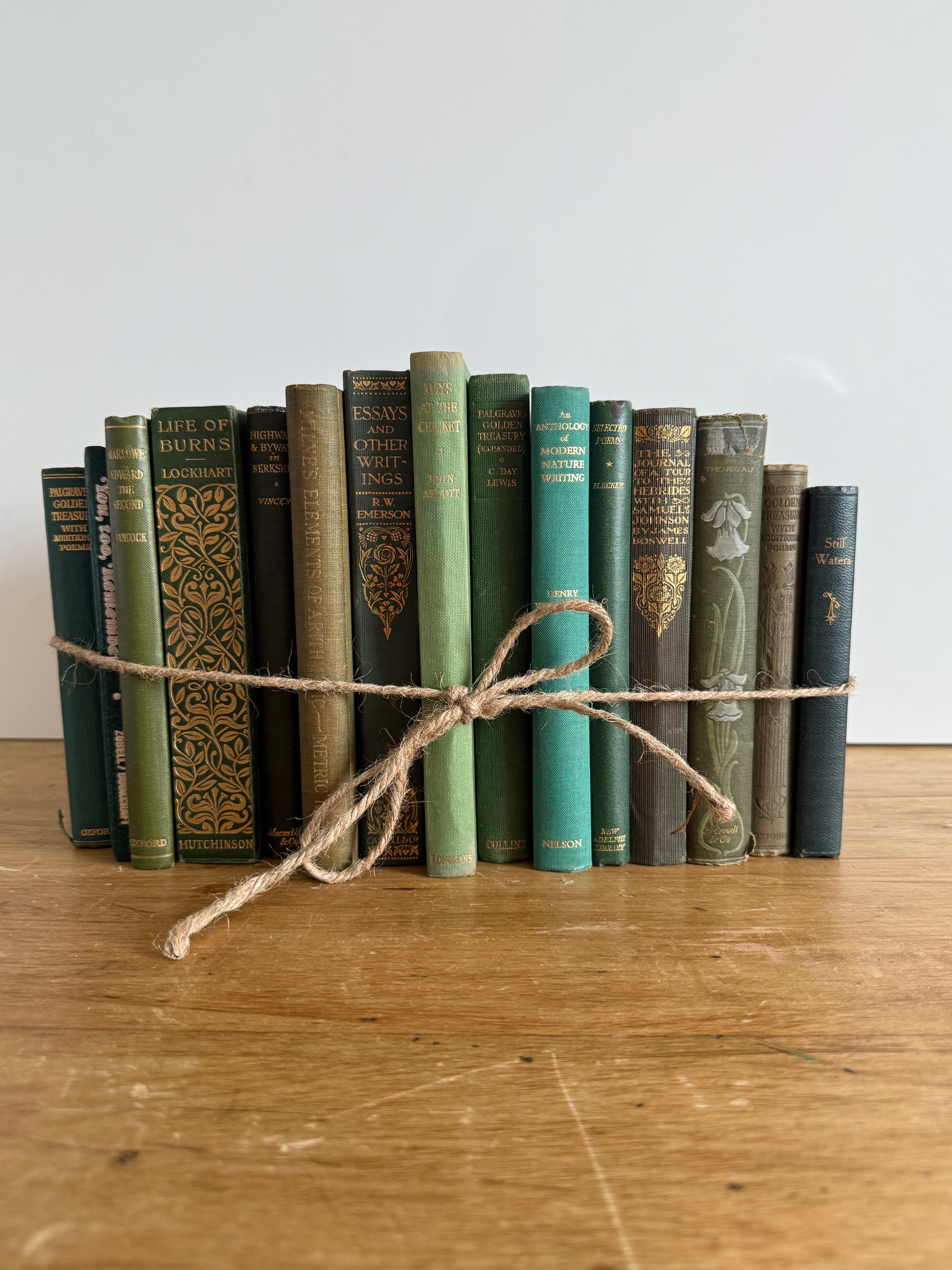 Vintage Book Bundle - Petite