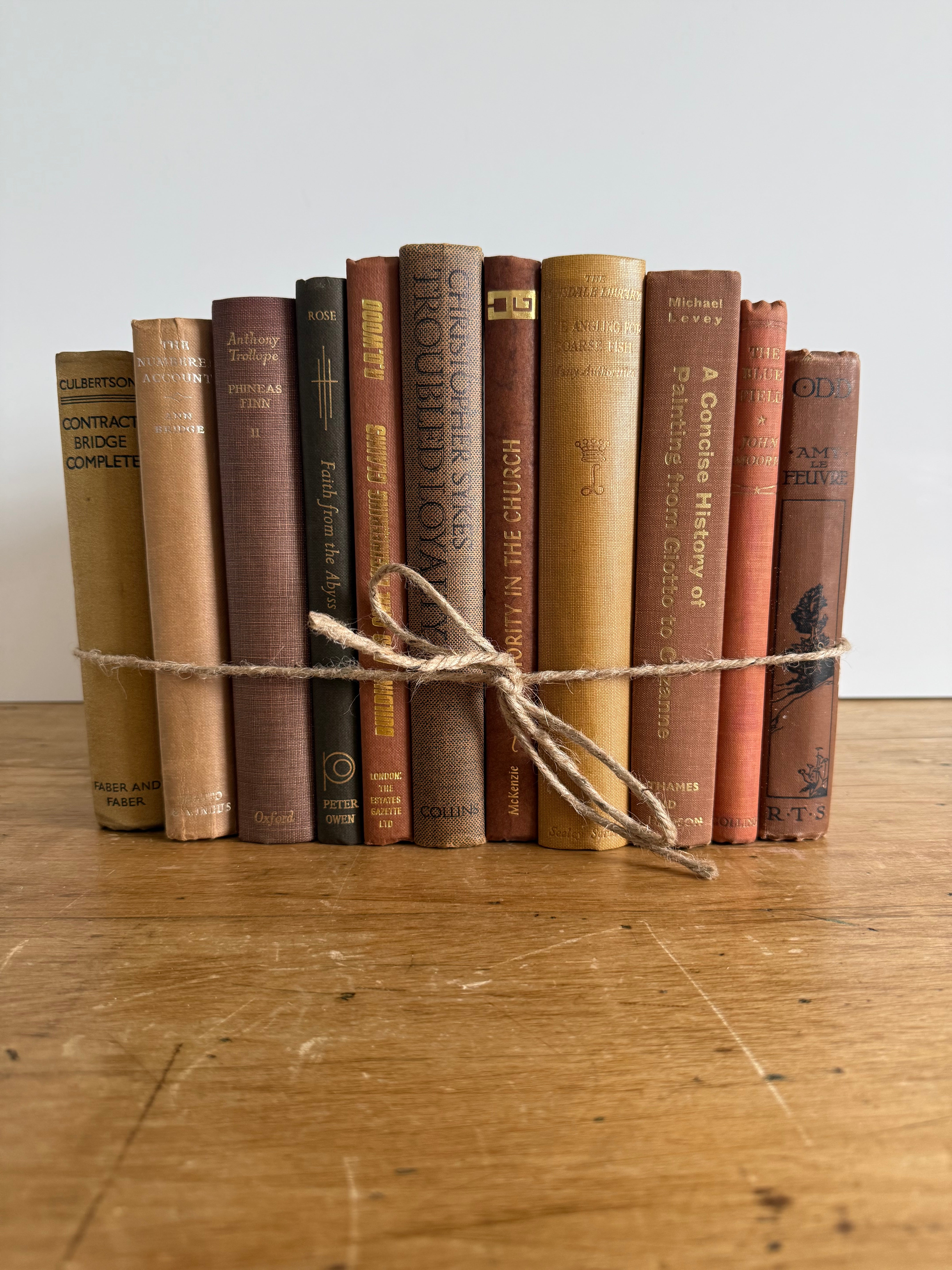 Vintage Book Bundle - Walnut