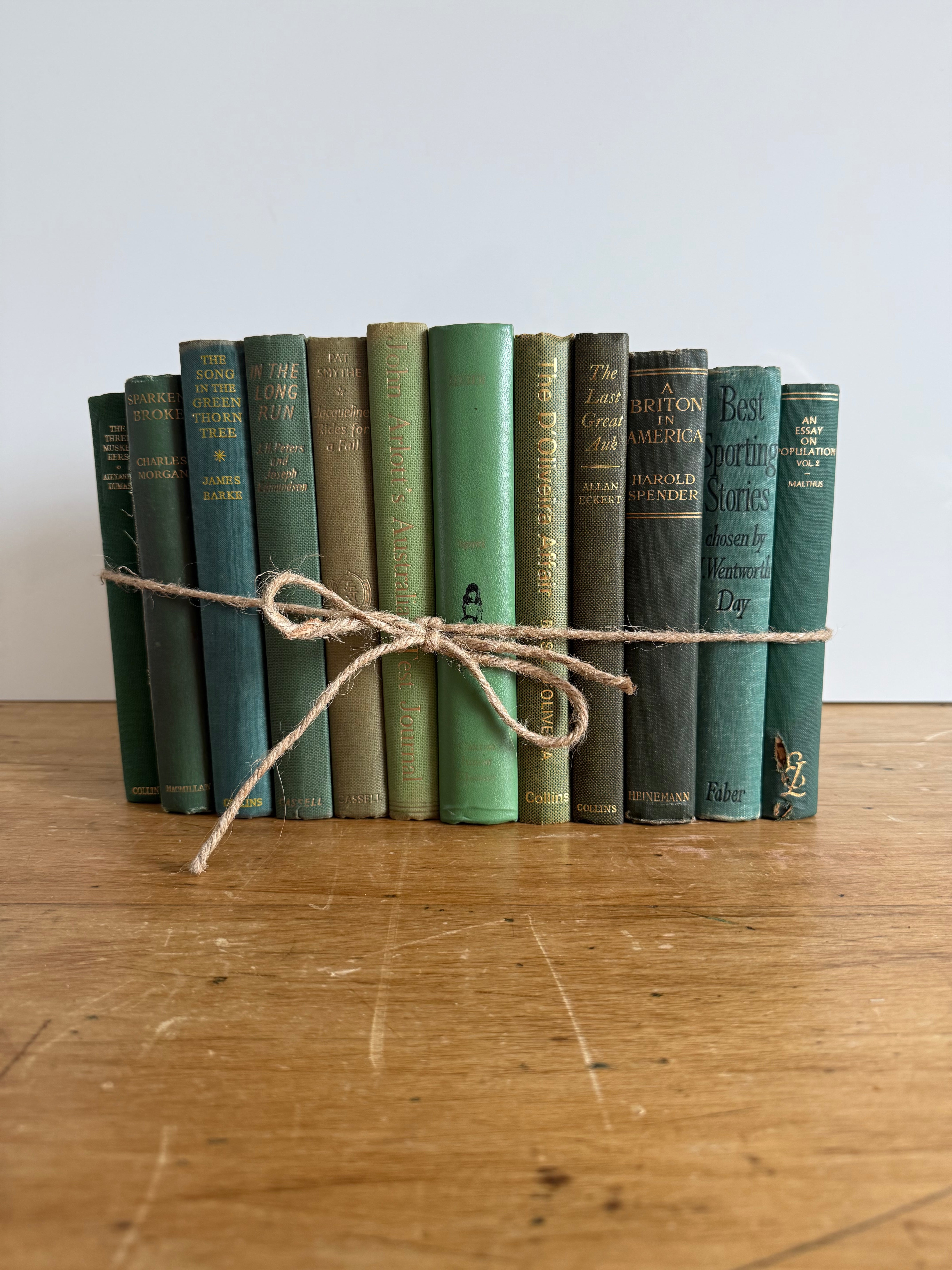 Vintage Book Bundle - Green