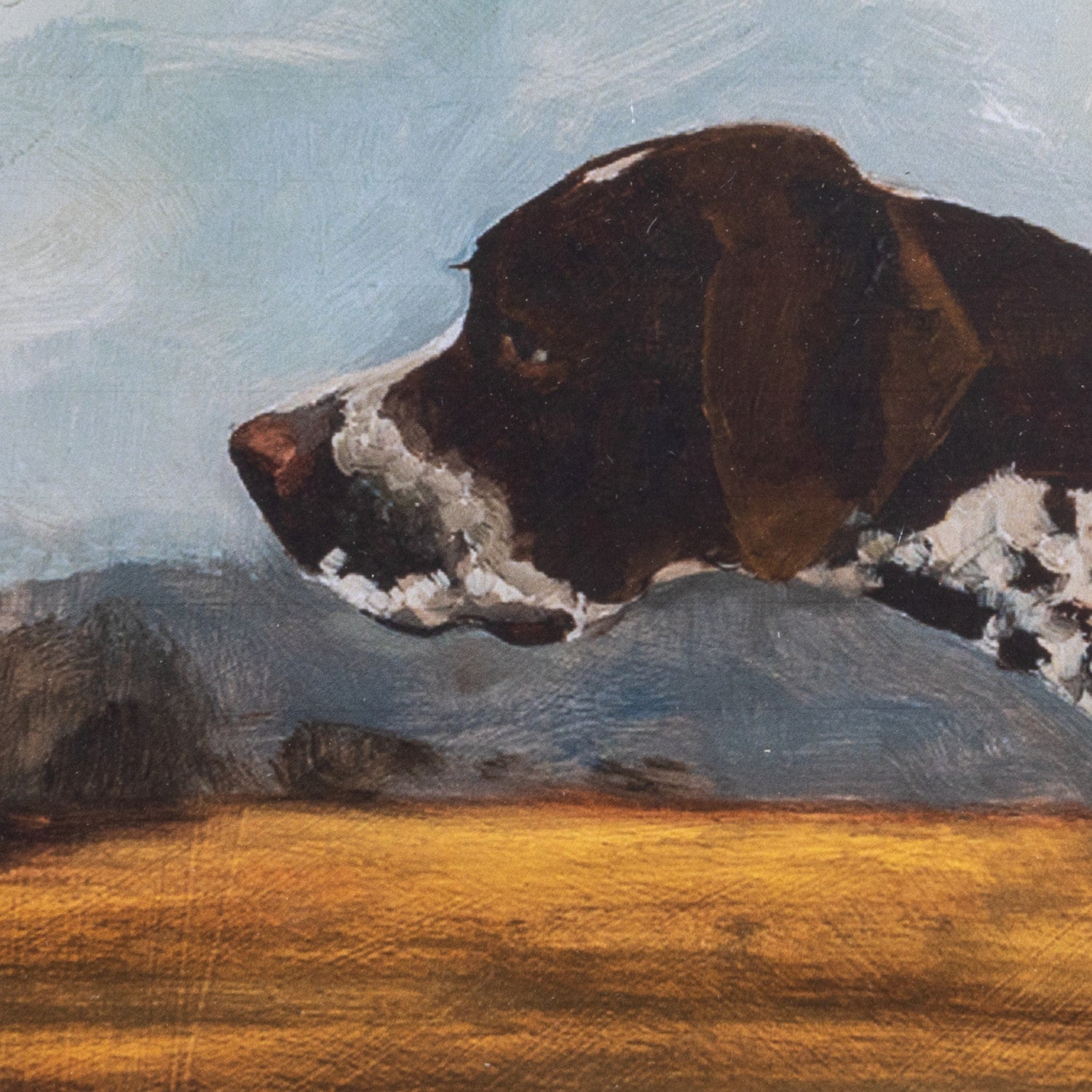 Pointer Dog