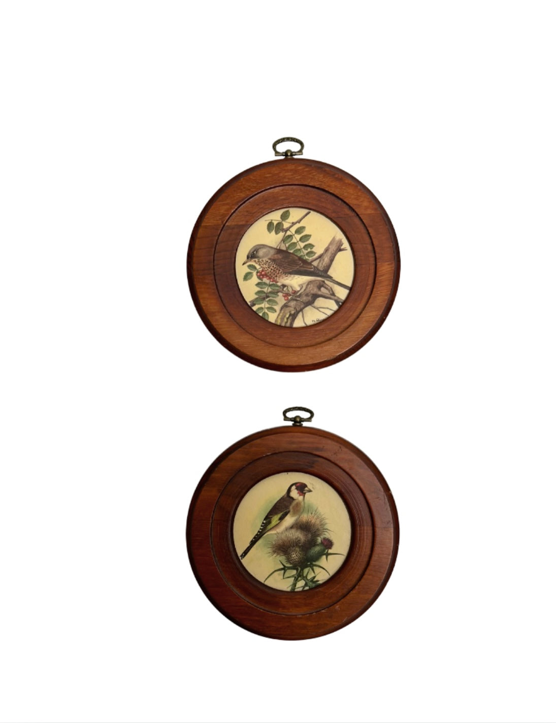 Vintage Round Bird S/2