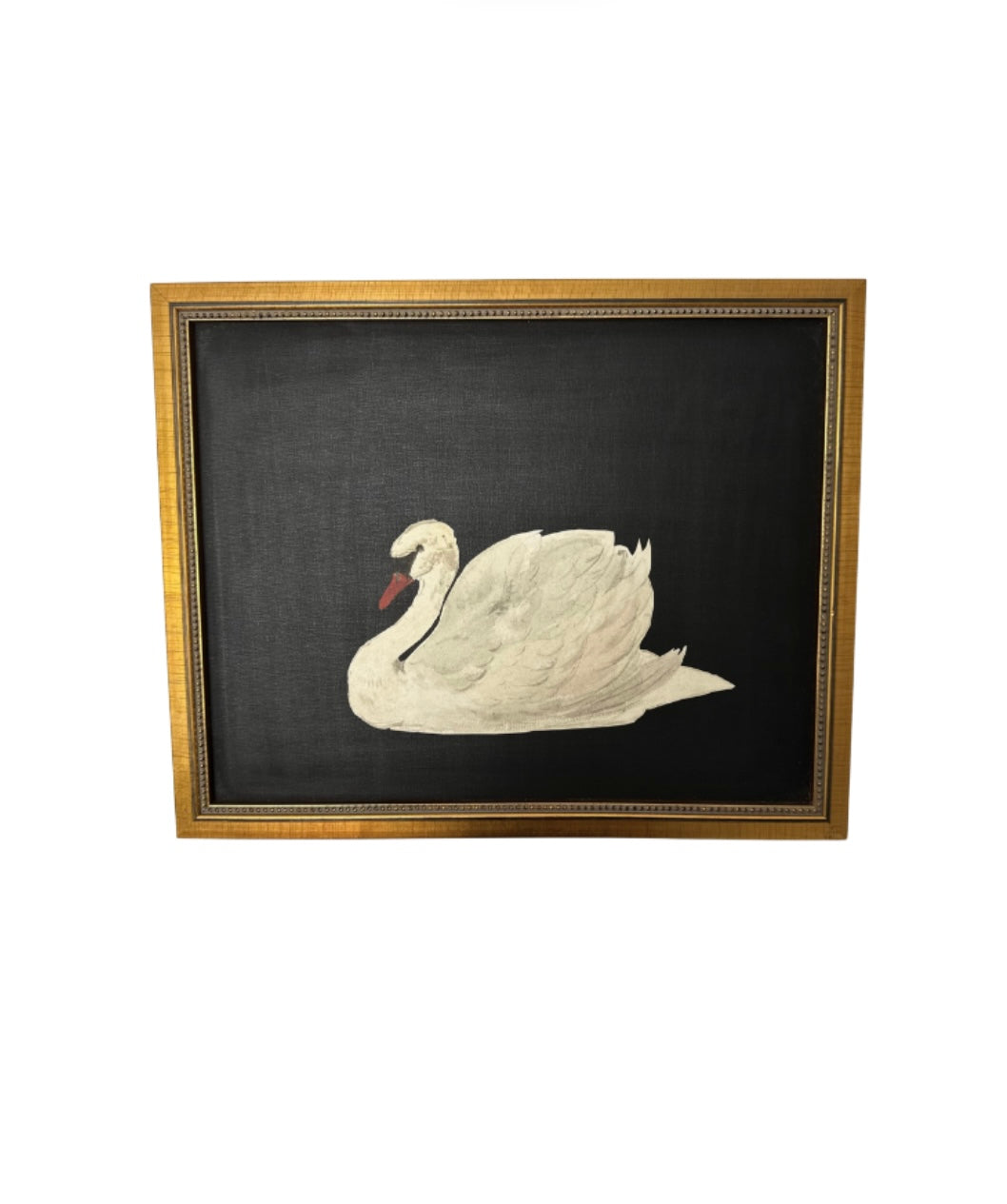 Swan 11 x 14