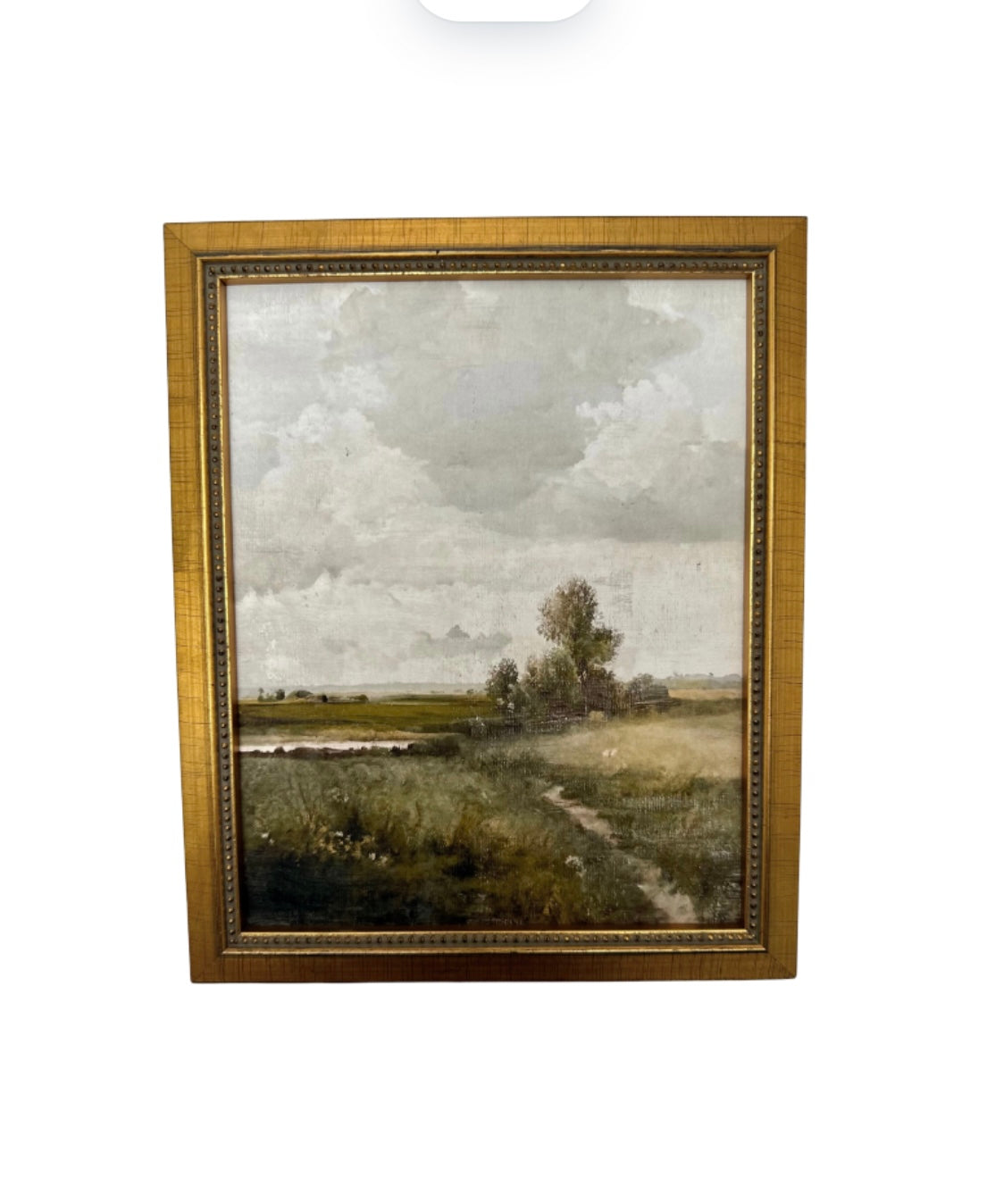 Landscape 8 x 10