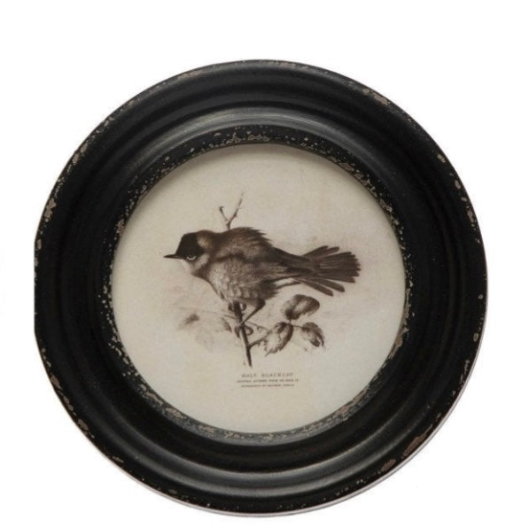 Vintage Bird Print