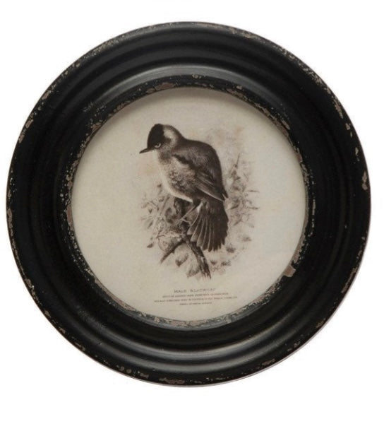 Vintage Bird Print