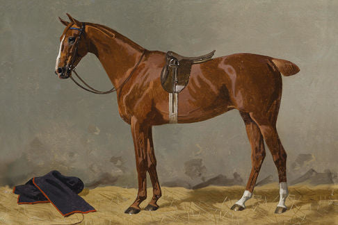 Horse Tan 6X9