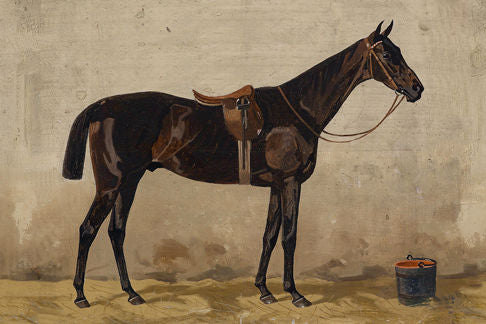 Horse Brown 6X9