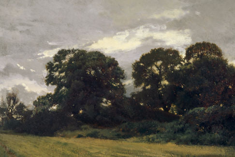 Treeline 8X10
