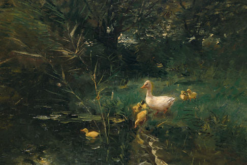 Ducks Pond 5X7