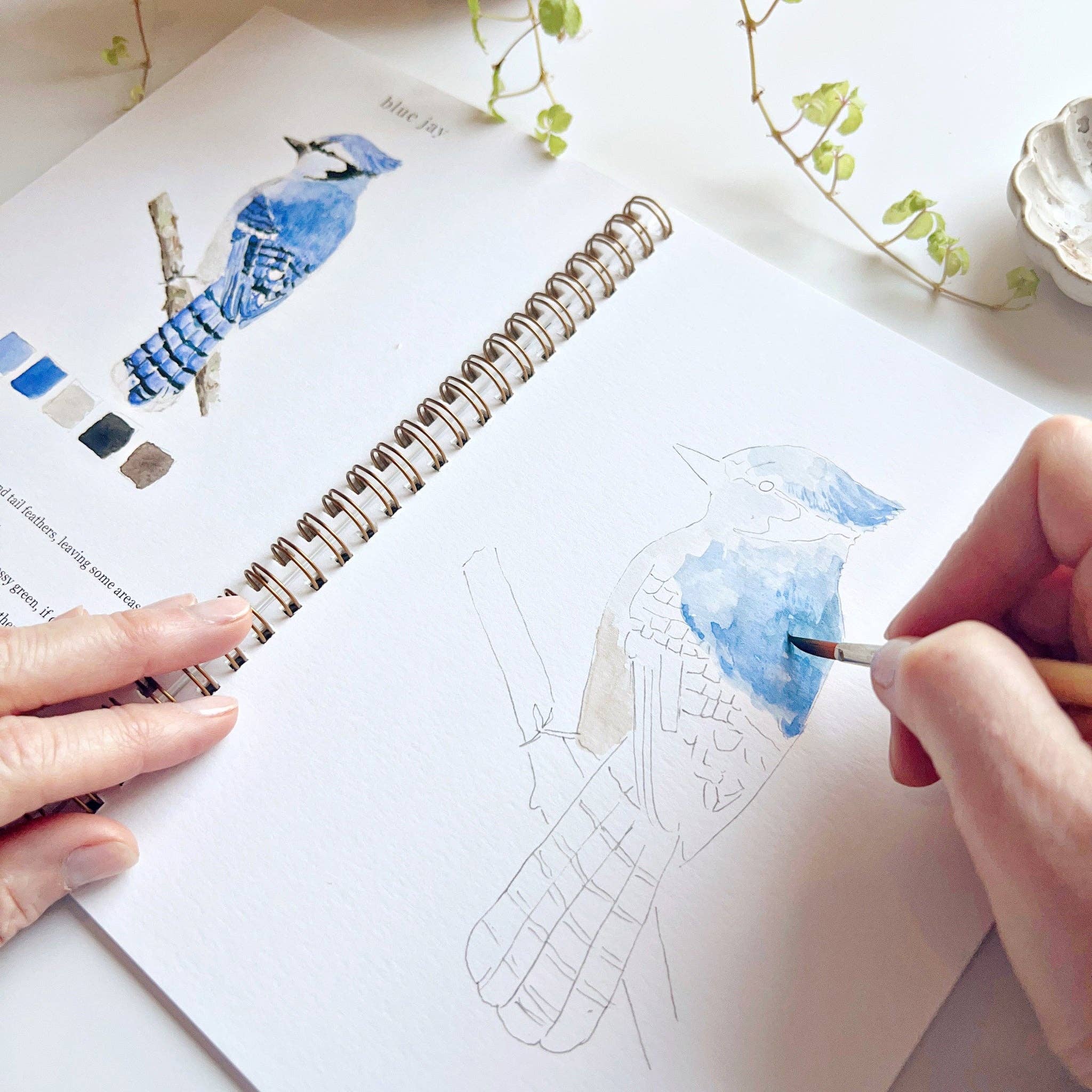 Bird Watercolor Book