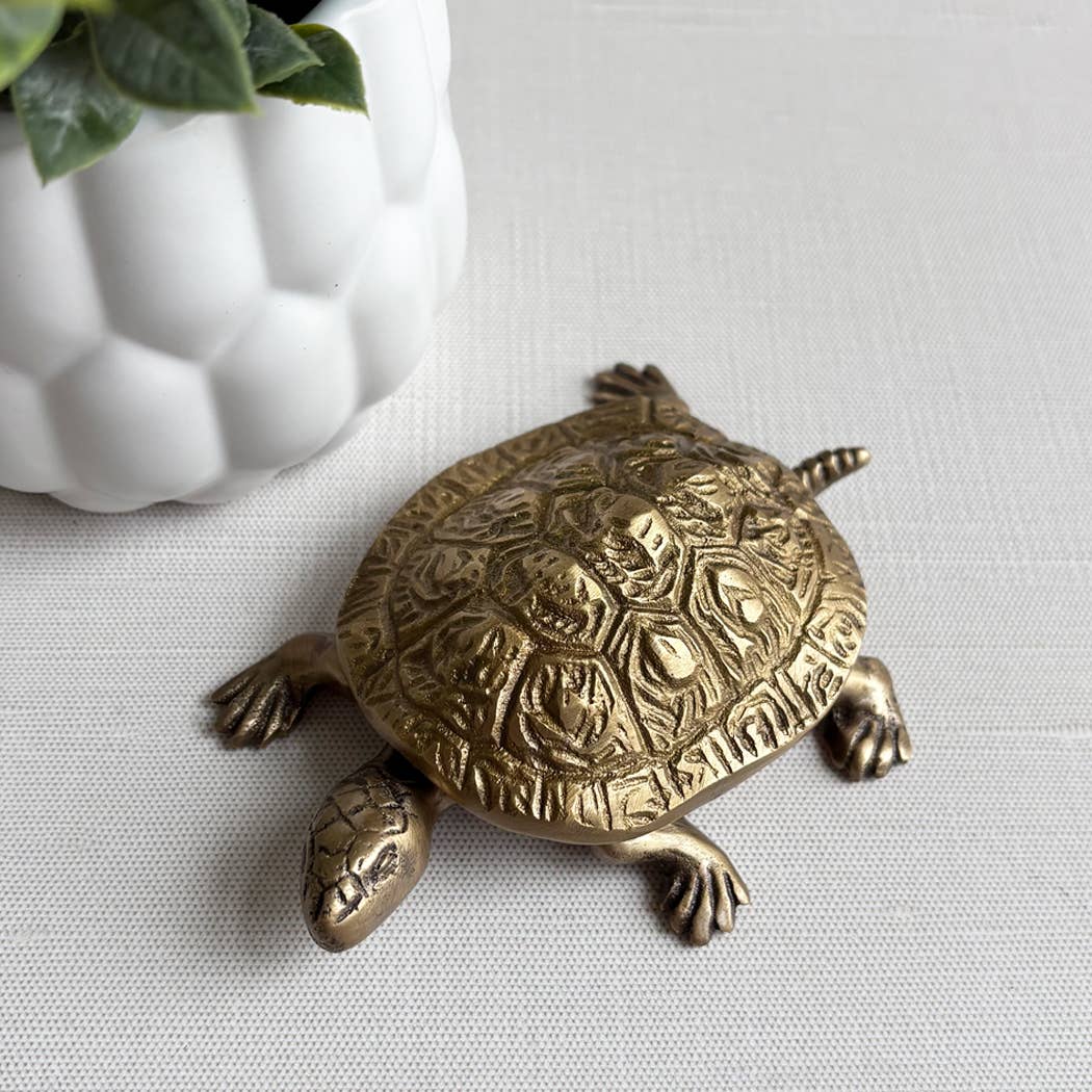 Solid Brass Turtle Box