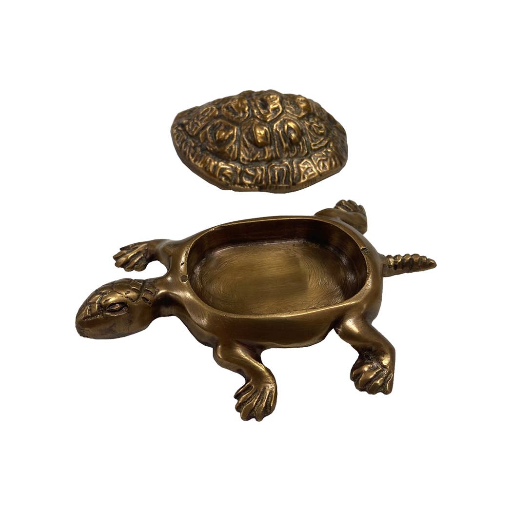 Solid Brass Turtle Box