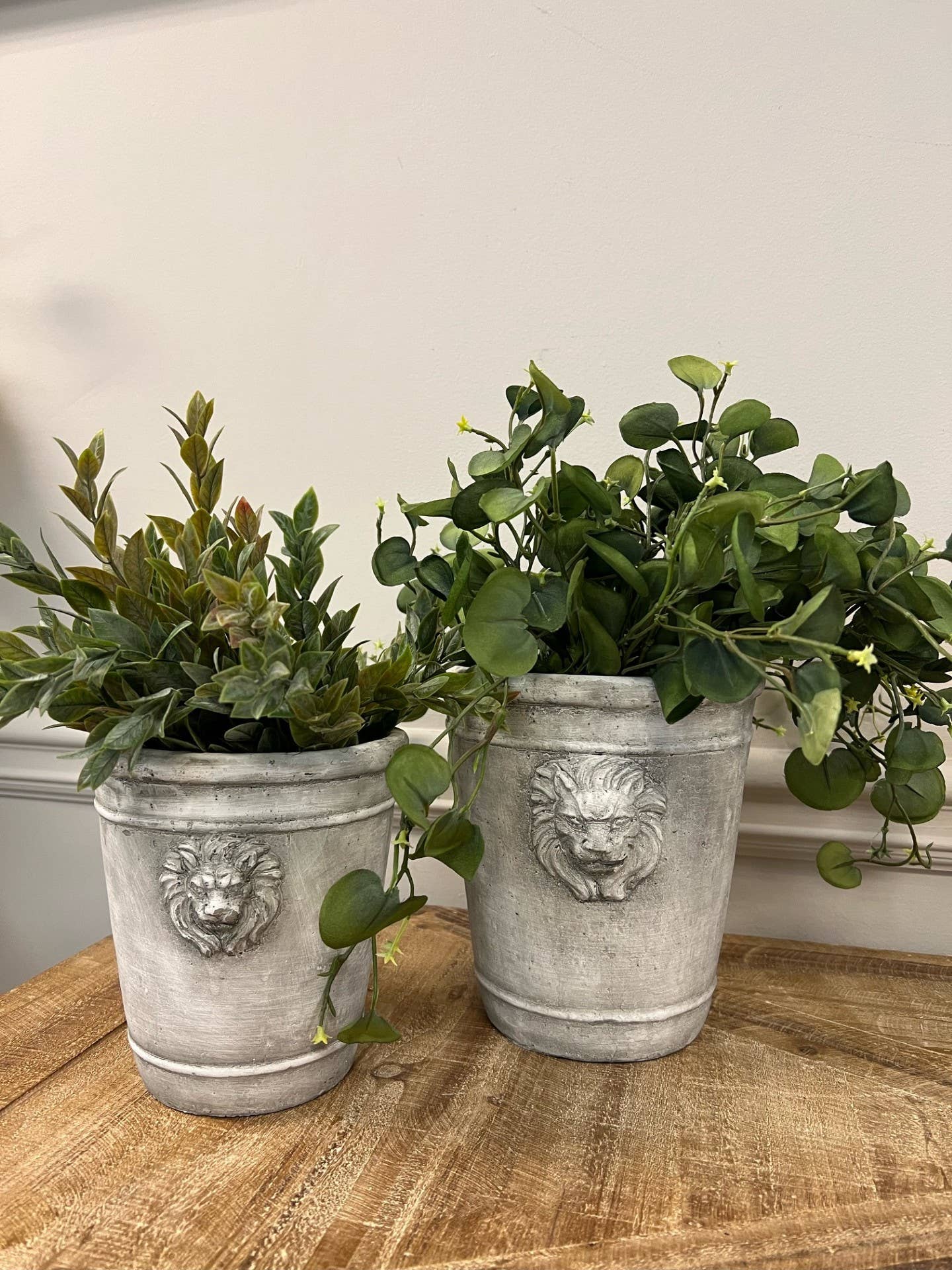 Lion Cement Planter