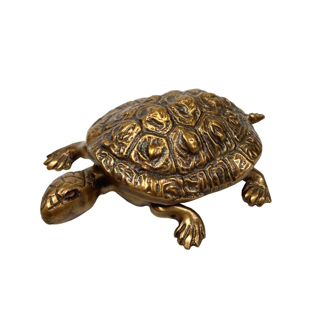 Solid Brass Turtle Box
