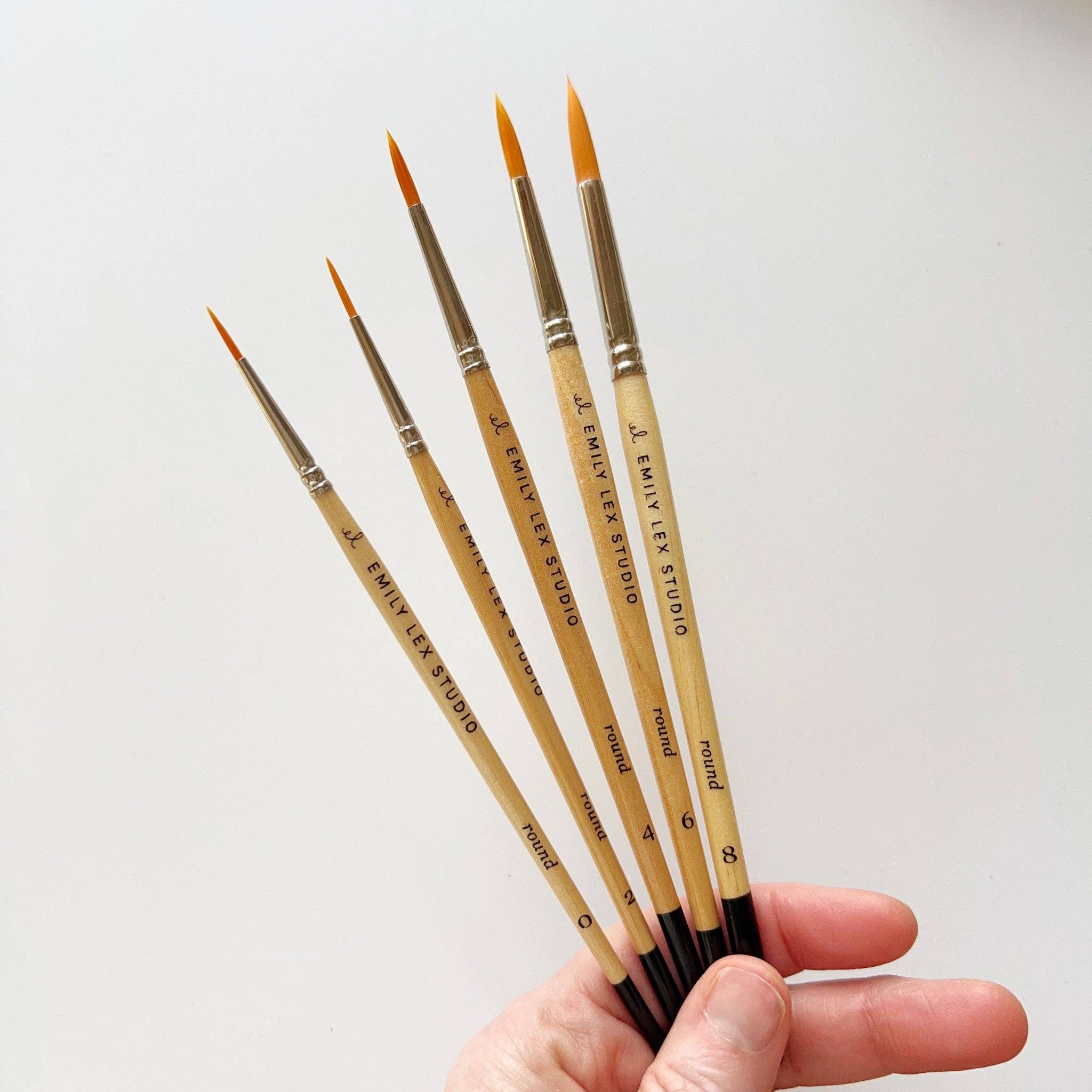 Watercolor Paintbrush S/5