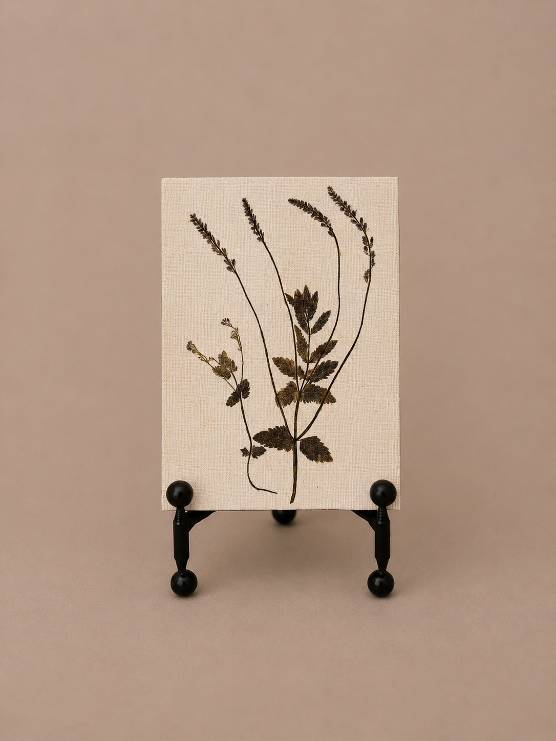 Pressed Flower 5X7
