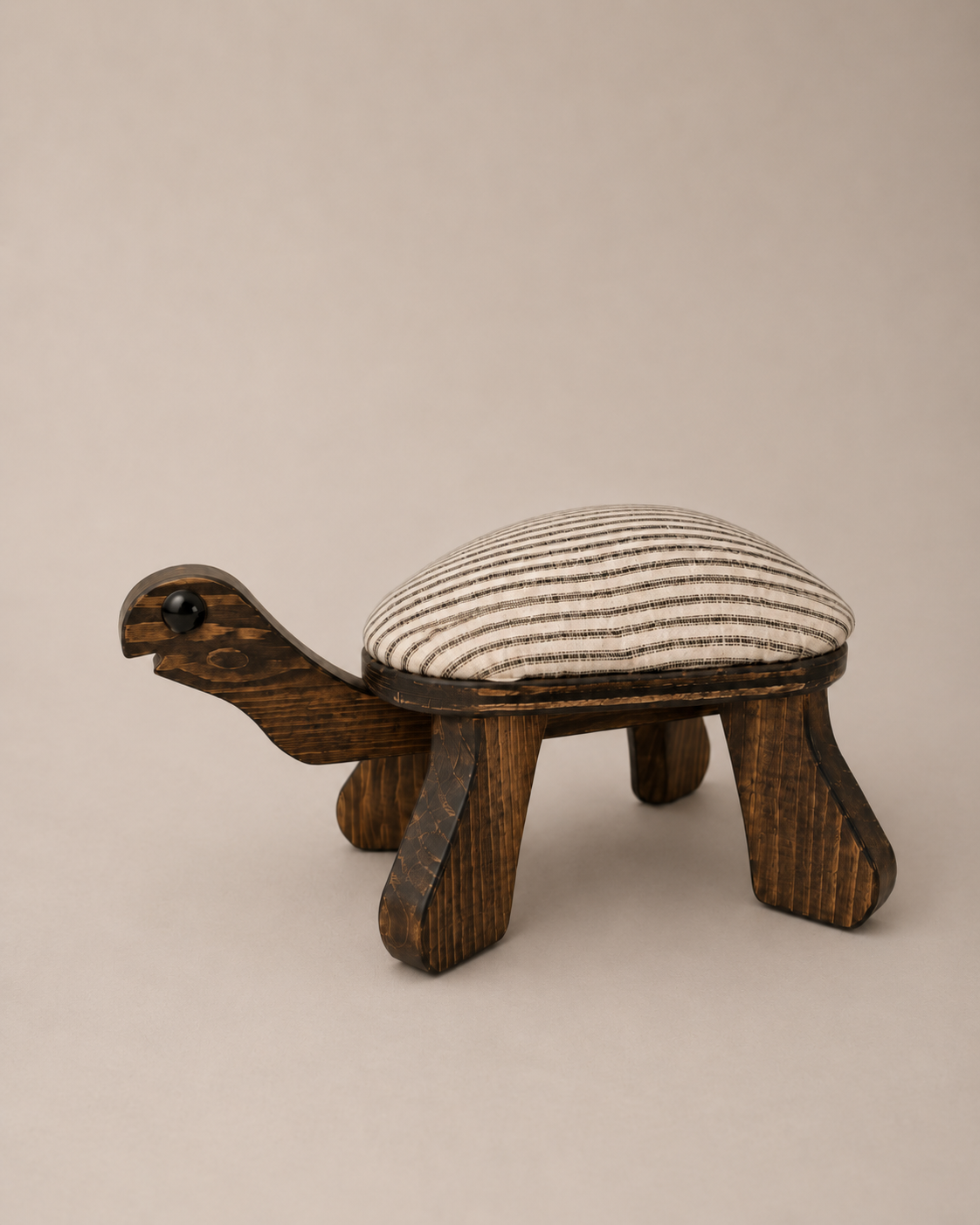 Dash The Turtle