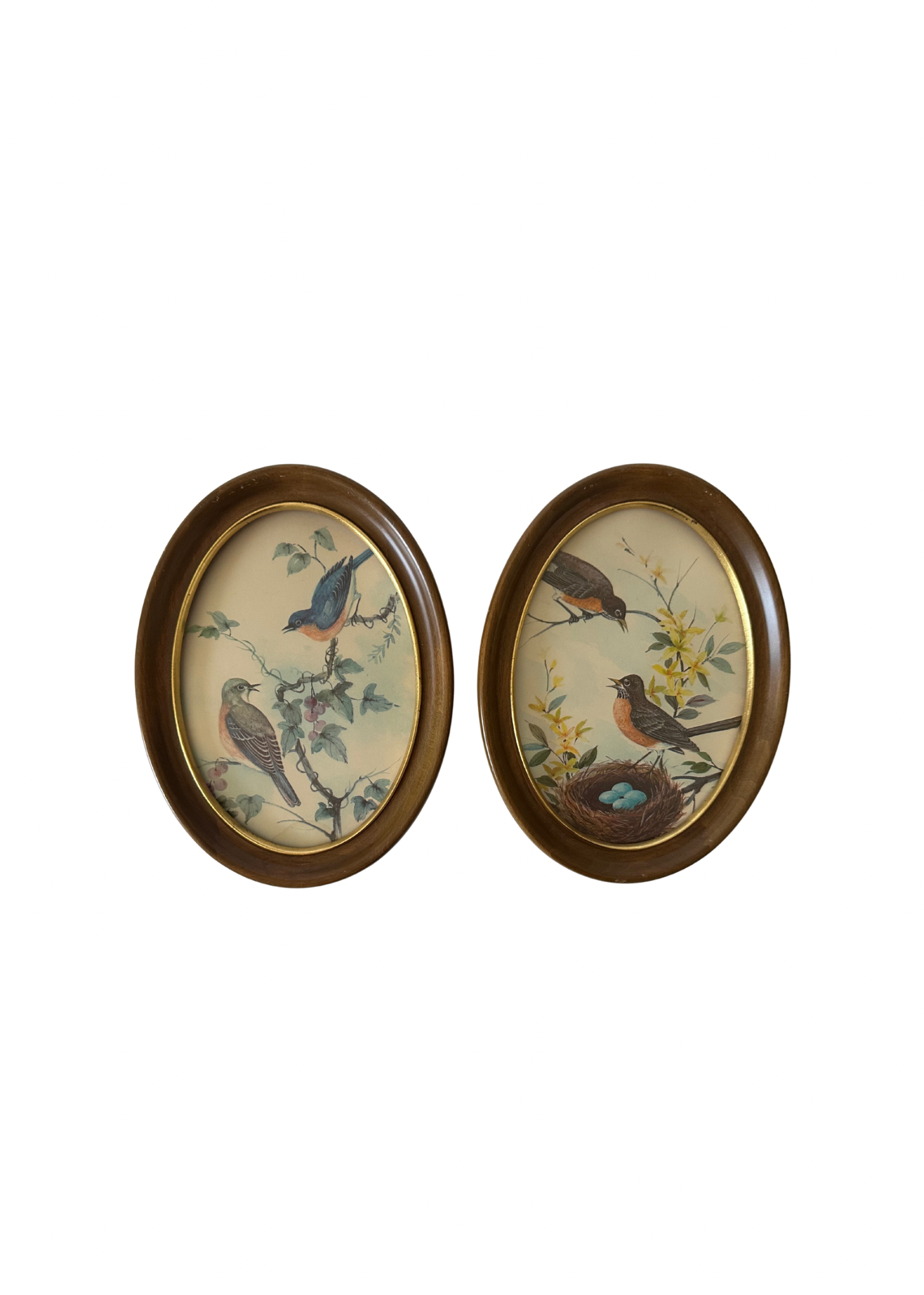 Vintage Bird Print S/2