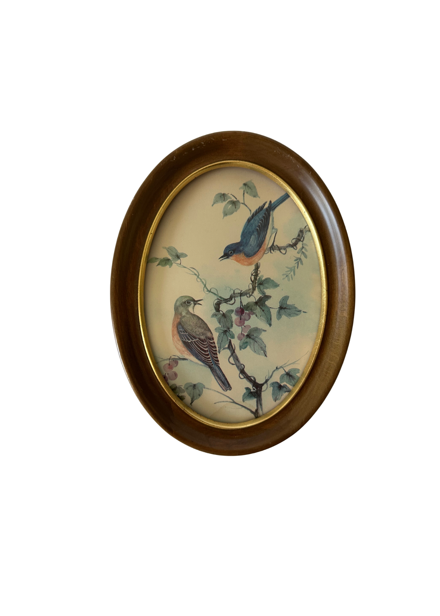 Vintage Bird Print S/2