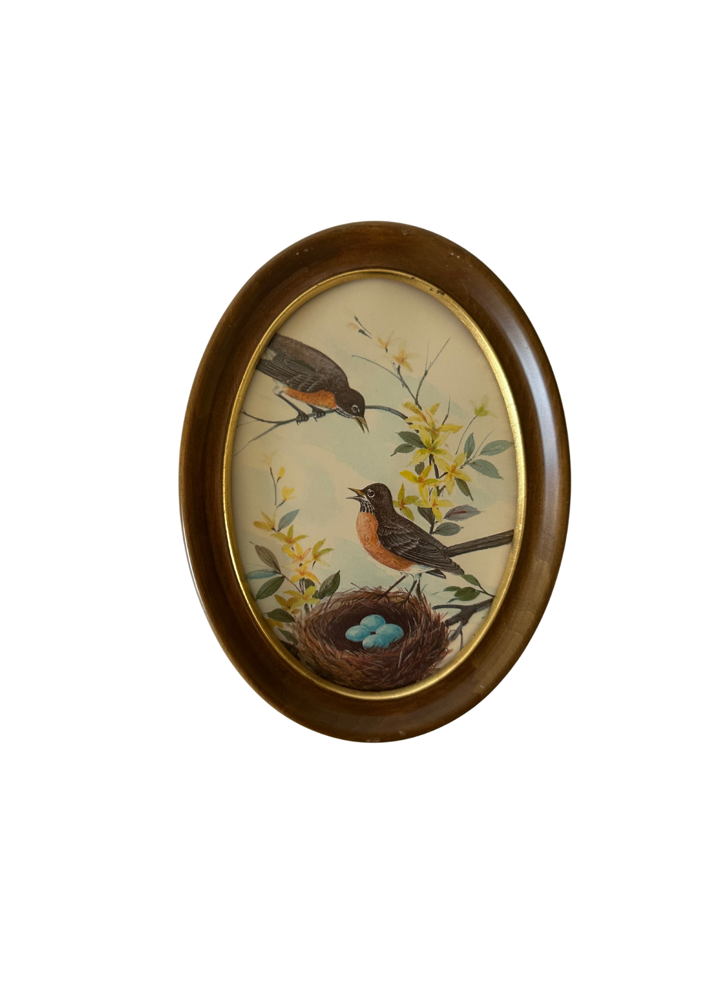 Vintage Bird Print S/2