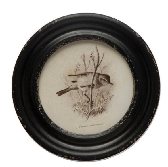 Vintage Bird Print
