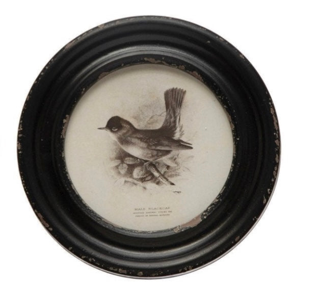 Vintage Bird Print