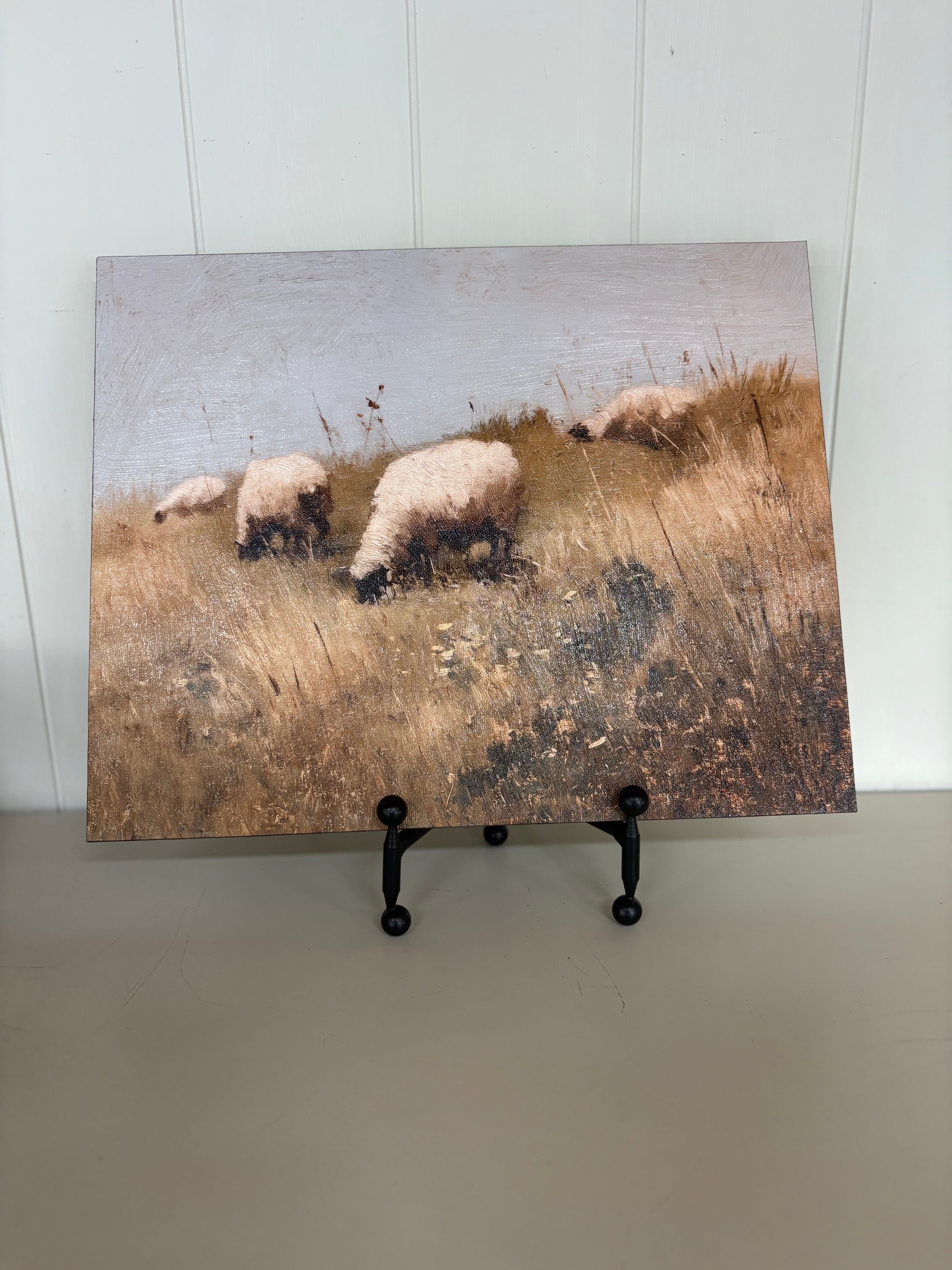 Sheep Field 11X14
