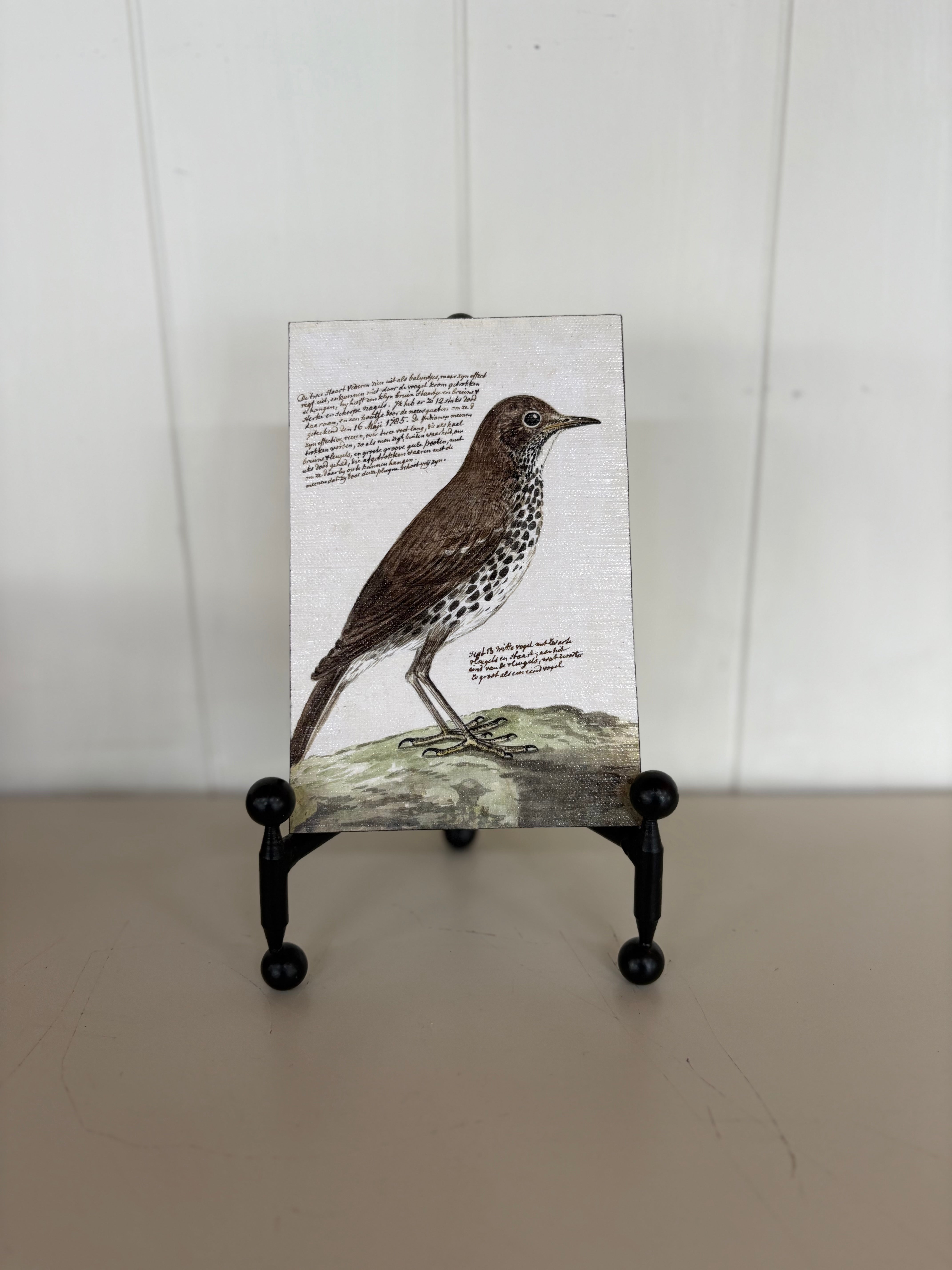Bird 4X6