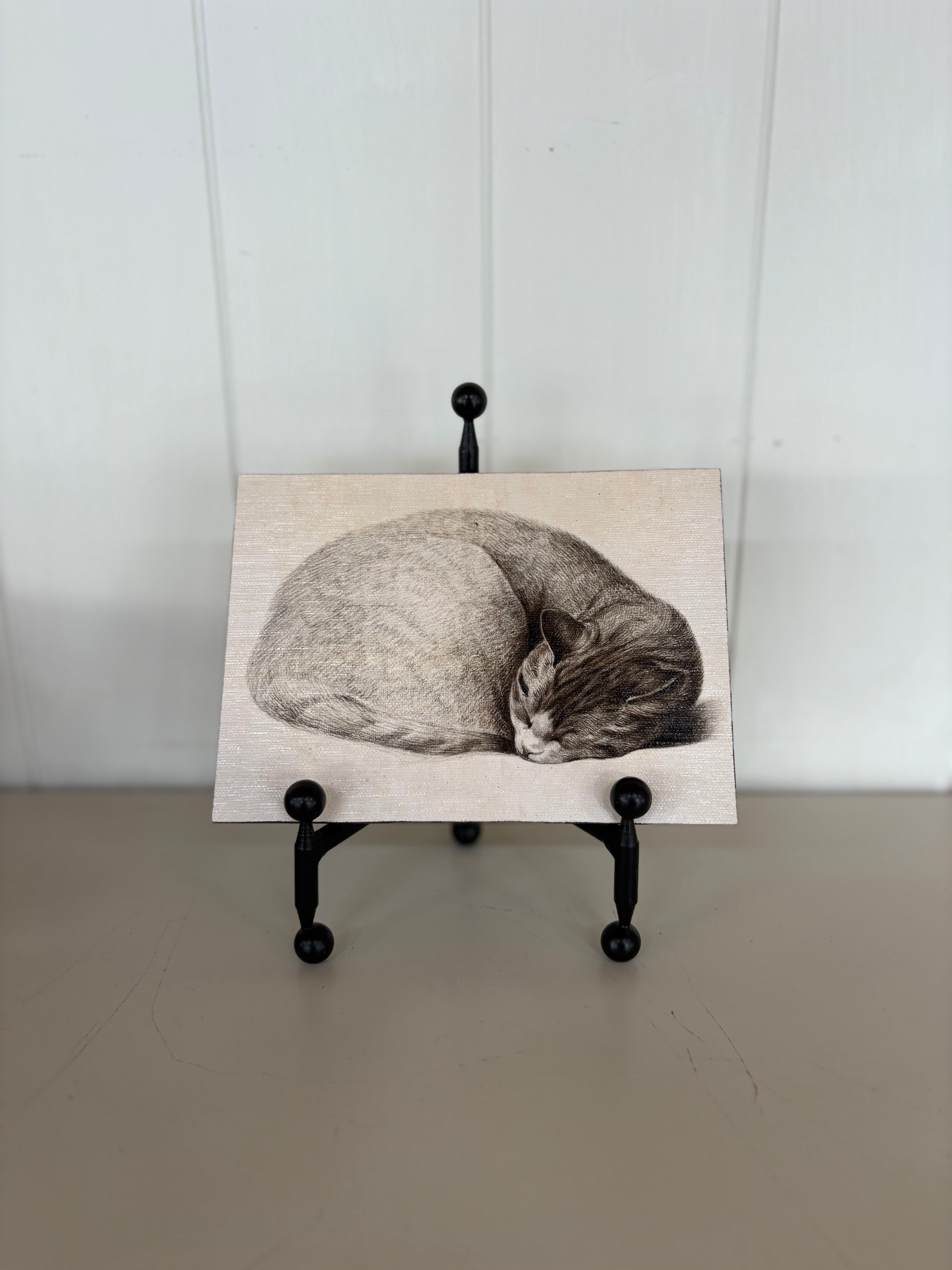 Sleeping Cat 5X7