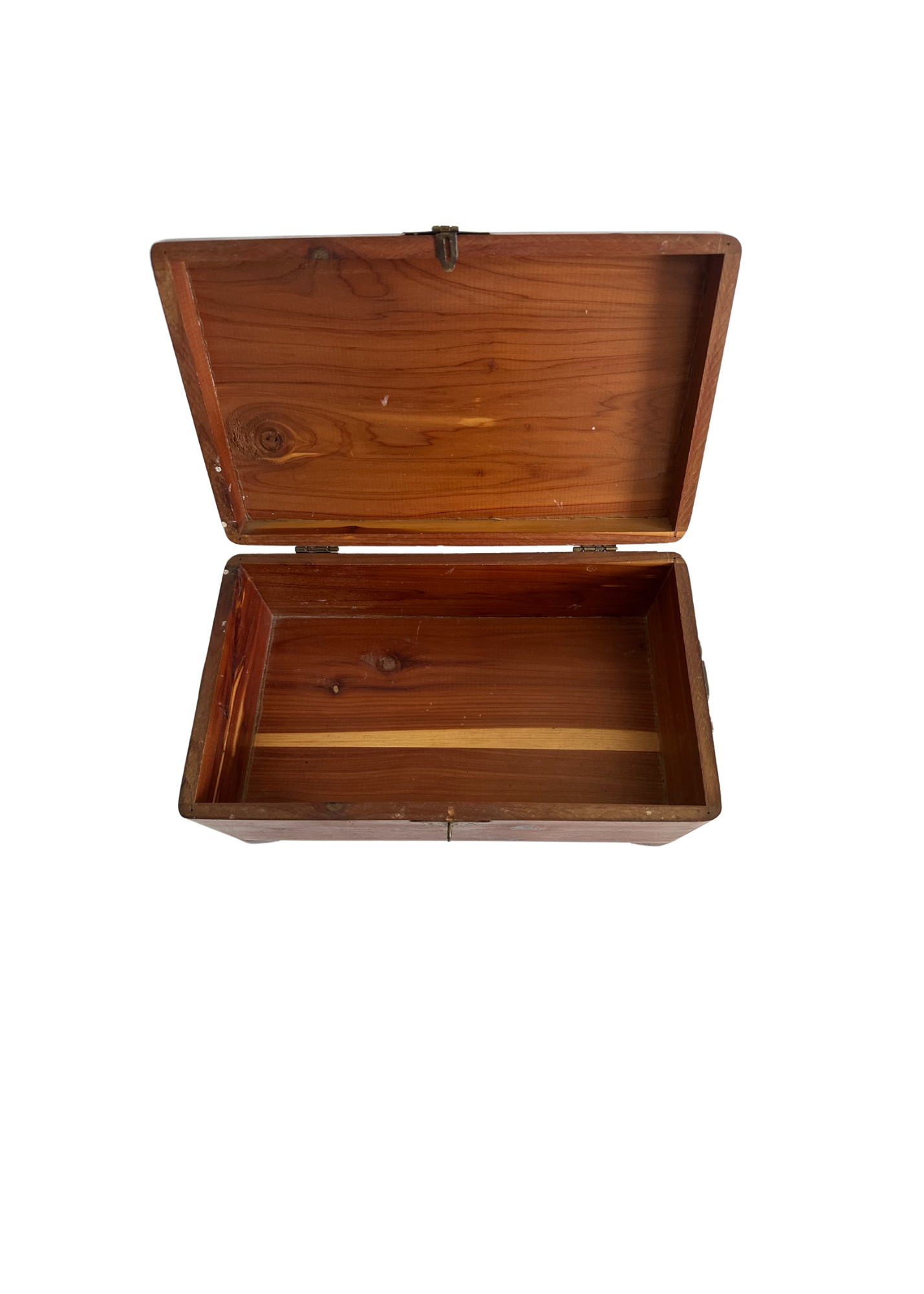 Vintage Fox Hunt Box