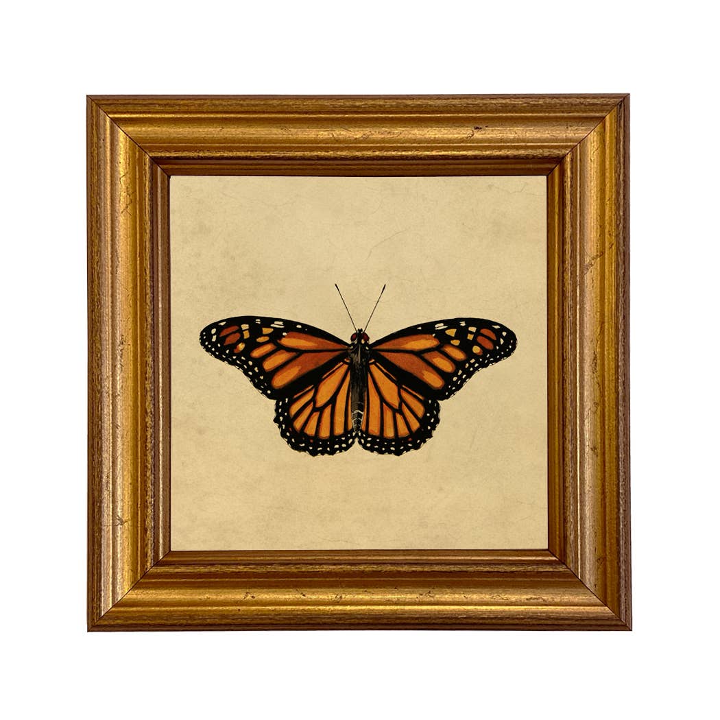 Butterfly Monarch Print