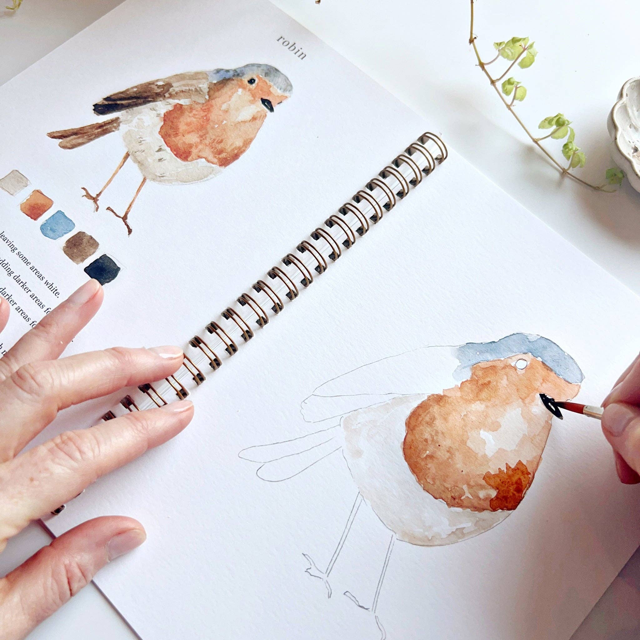 Bird Watercolor Book