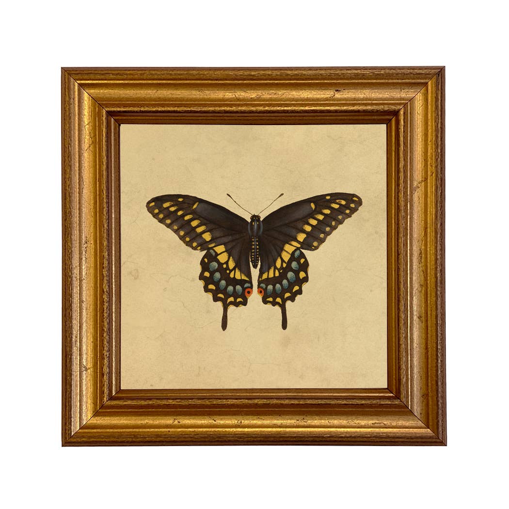 Butterfly Swallowtail Print