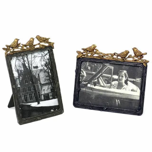 Gold Bird Frame