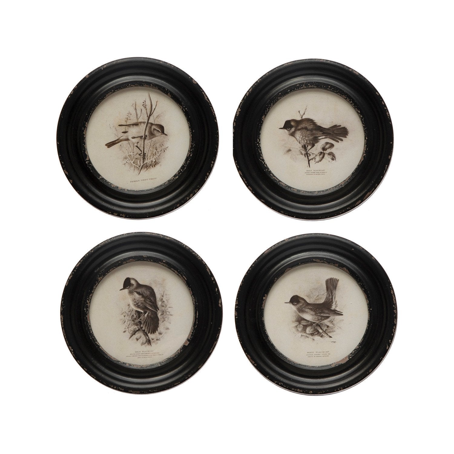 MDF Framed Wall Décor w/ Bird, Black & White, 4 Styles