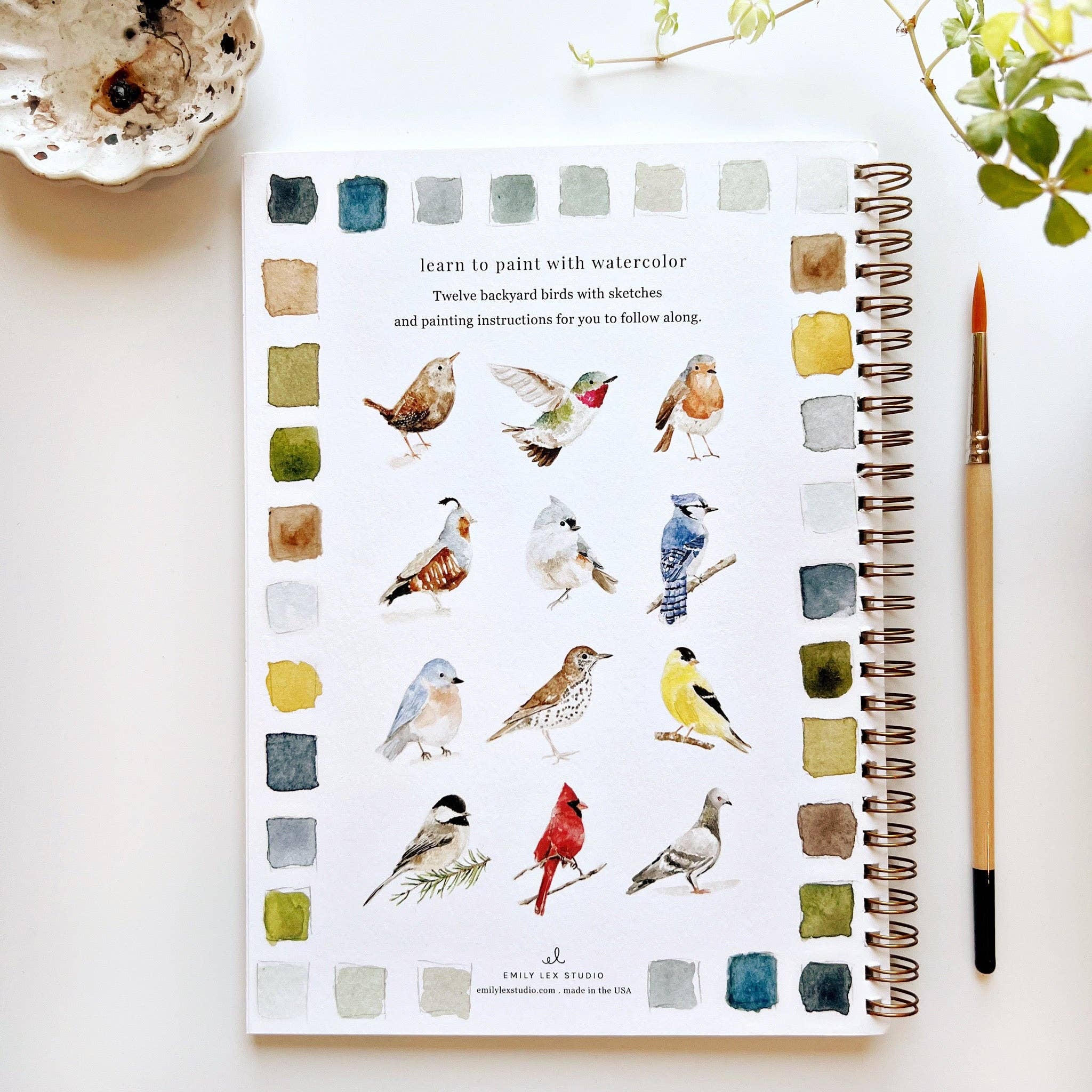 Bird Watercolor Book